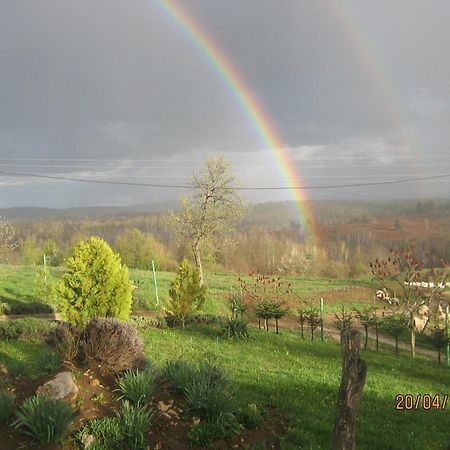 Lavanda Farm Apartmani Rakovica Bagian luar foto