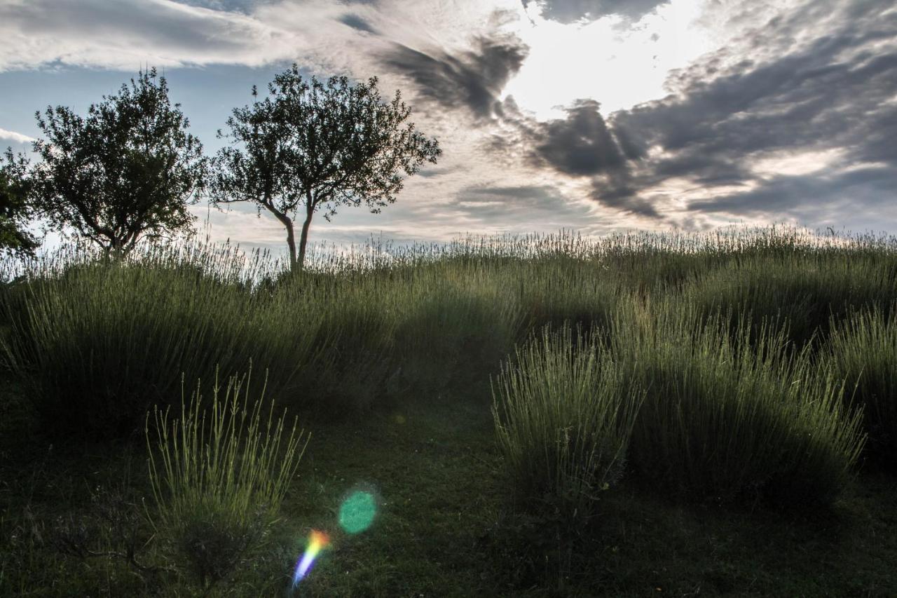 Lavanda Farm Apartmani Rakovica Bagian luar foto