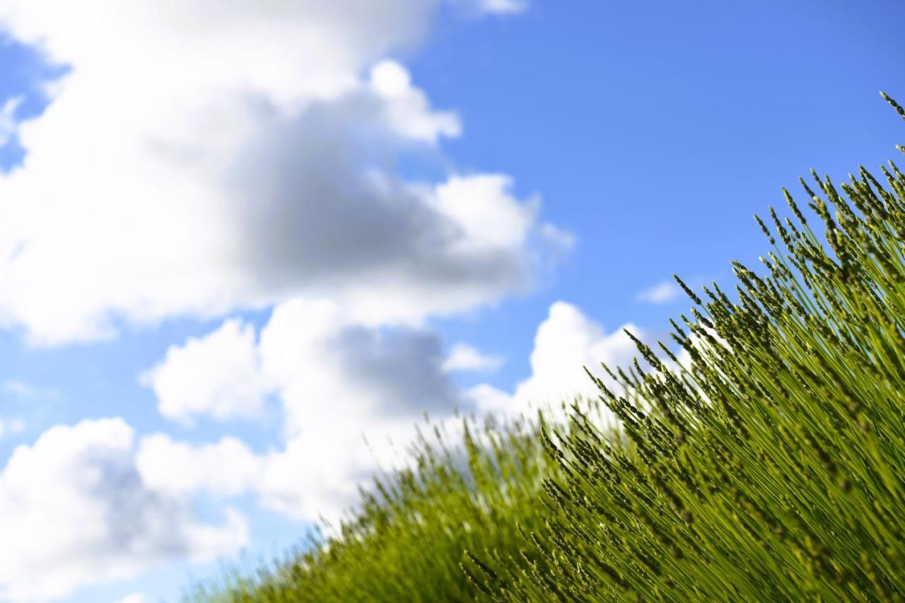 Lavanda Farm Apartmani Rakovica Bagian luar foto