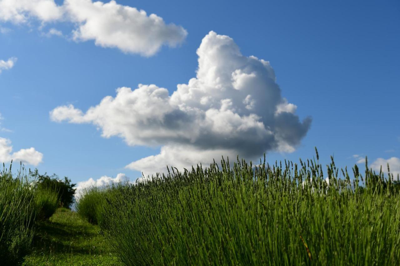 Lavanda Farm Apartmani Rakovica Bagian luar foto