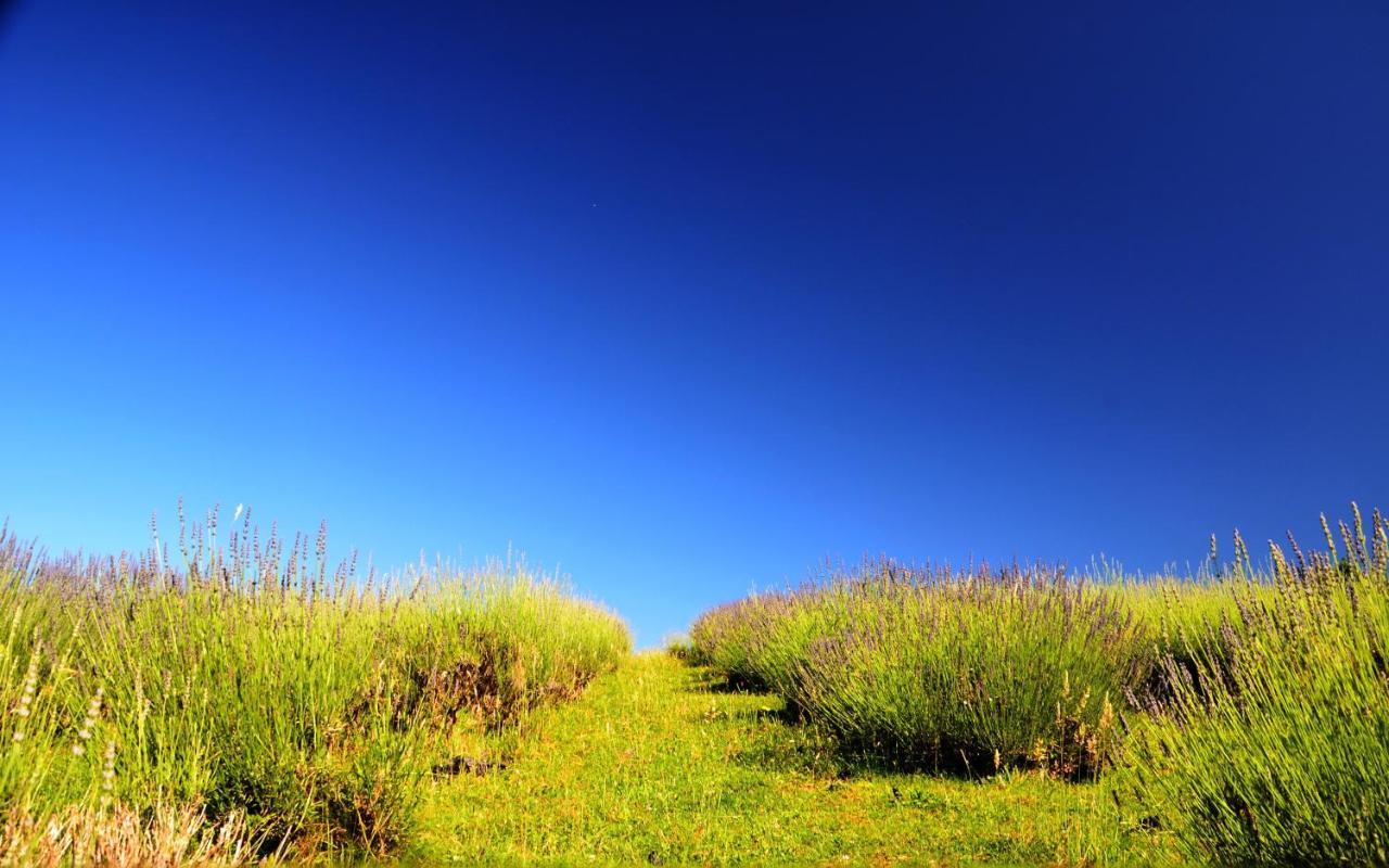 Lavanda Farm Apartmani Rakovica Bagian luar foto