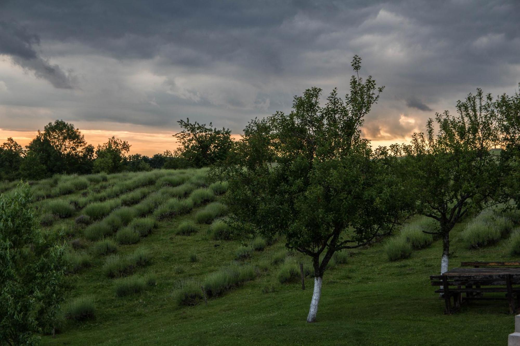 Lavanda Farm Apartmani Rakovica Bagian luar foto