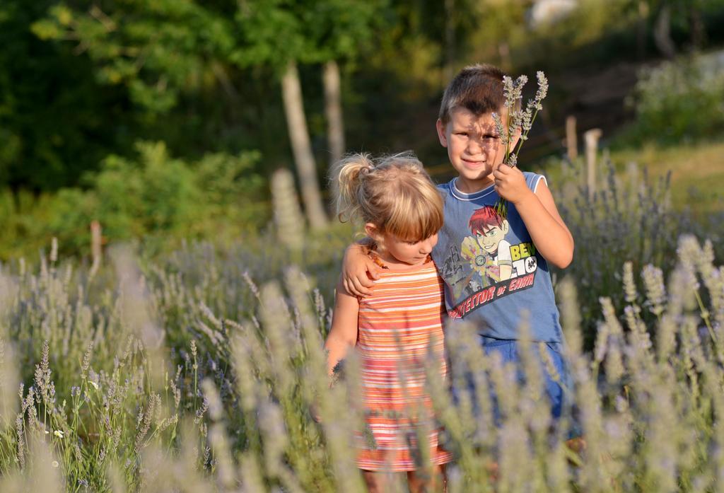 Lavanda Farm Apartmani Rakovica Bagian luar foto