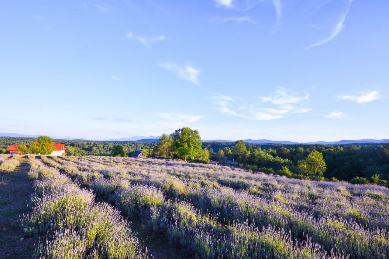 Lavanda Farm Apartmani Rakovica Bagian luar foto