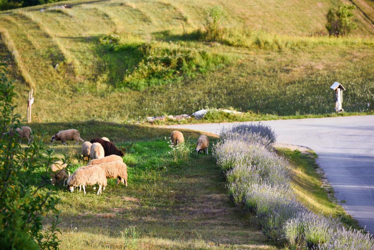 Lavanda Farm Apartmani Rakovica Bagian luar foto