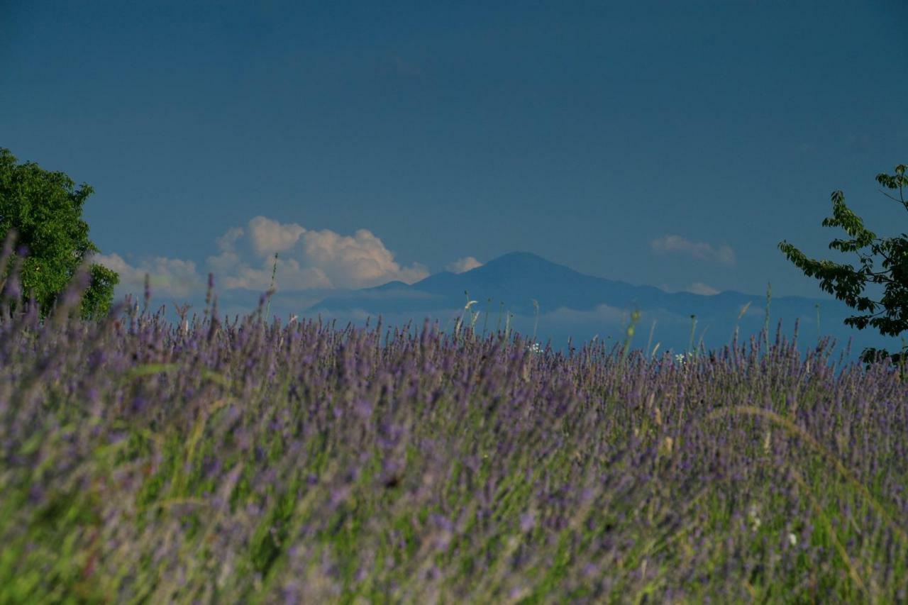 Lavanda Farm Apartmani Rakovica Bagian luar foto