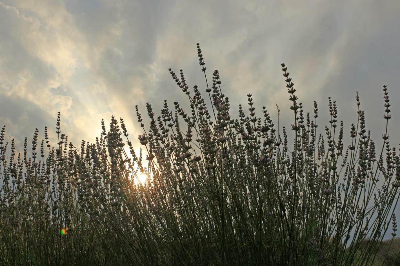 Lavanda Farm Apartmani Rakovica Bagian luar foto