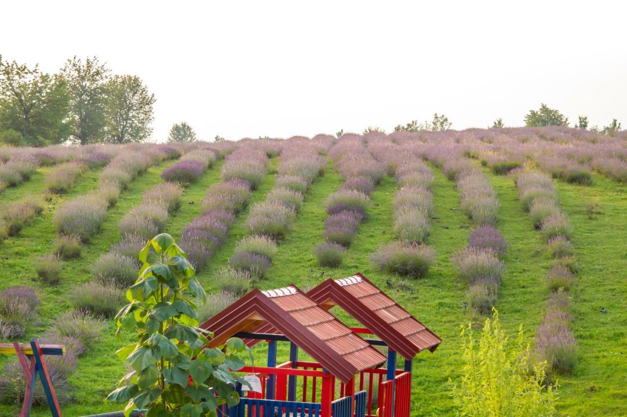 Lavanda Farm Apartmani Rakovica Bagian luar foto