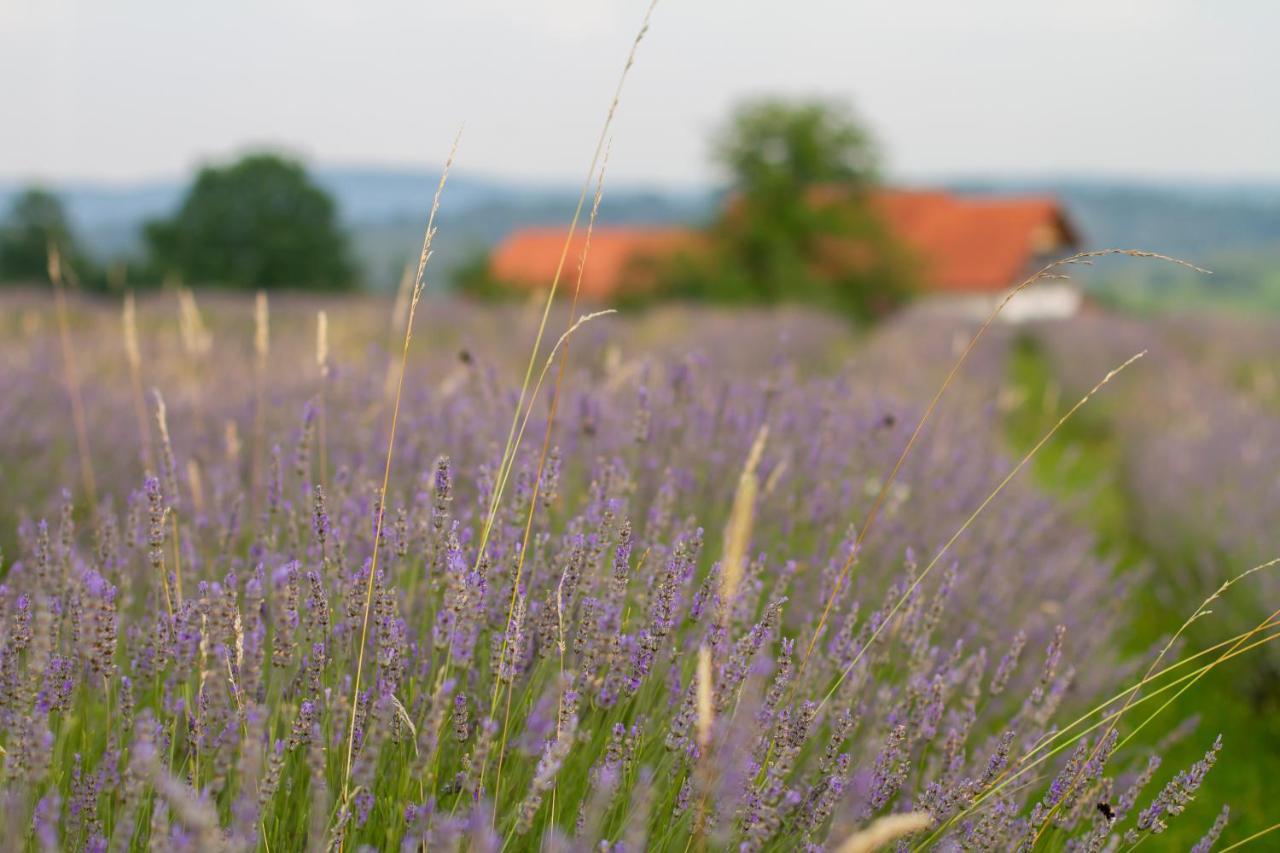 Lavanda Farm Apartmani Rakovica Bagian luar foto